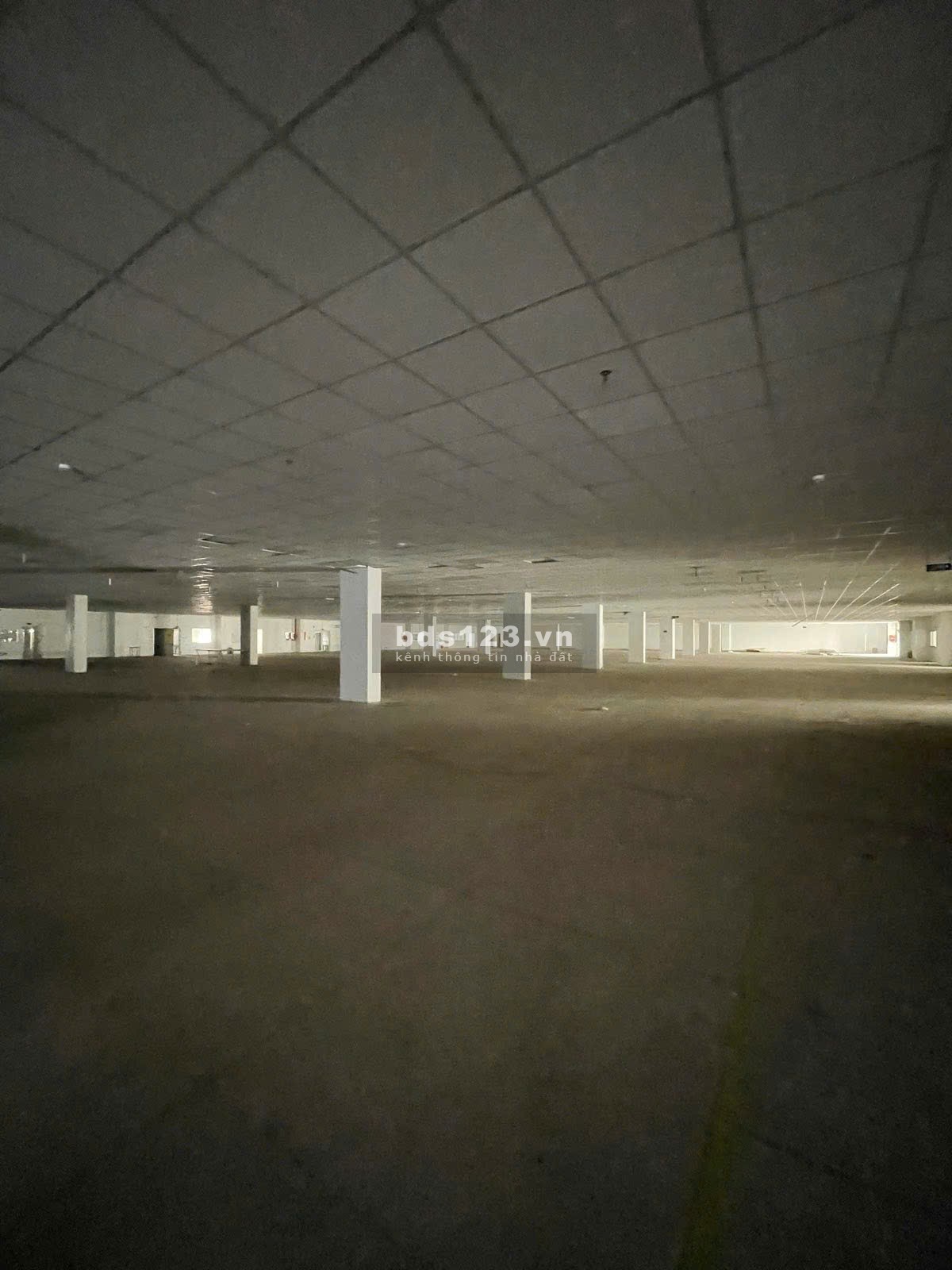 Cho thuê kho xưởng 750m2 - 5000m2 gần QL 1A, Linh Trung, Quận Thủ Đức
