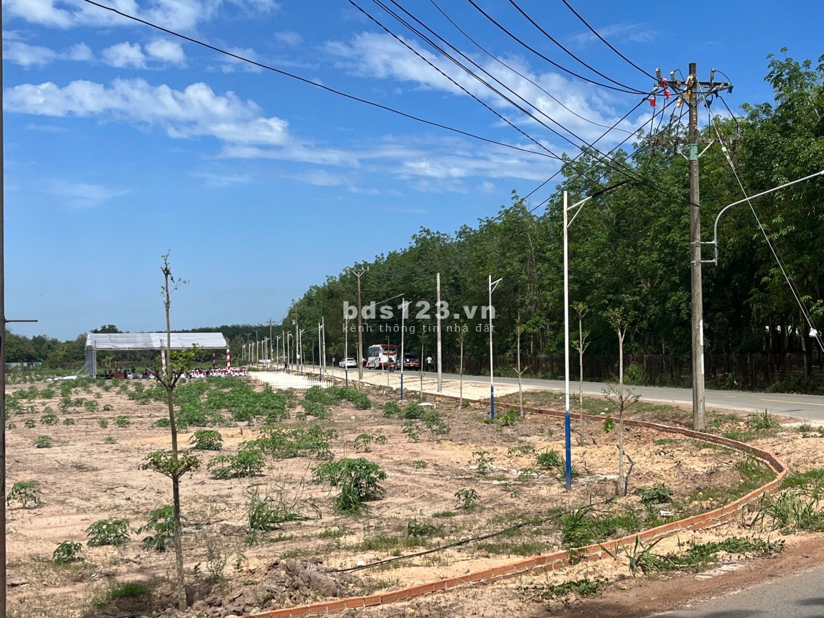 280m² đất Bàu Bàng, mặt tiền Trừ Văn Thố, giá tốt!