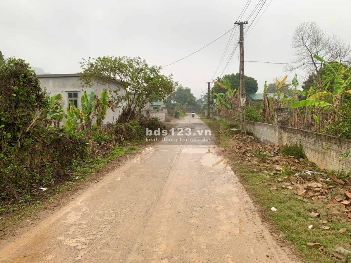 Chính chủ cần bán gấp lô đất 153m², chỉ hơn 200 triệu!