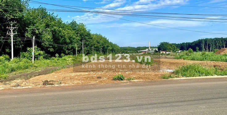 Đất nền giá rẻ Định Quán Đầu tư sinh lời cao, tiềm năng tăng giá mạnh chỉ từ 420tr