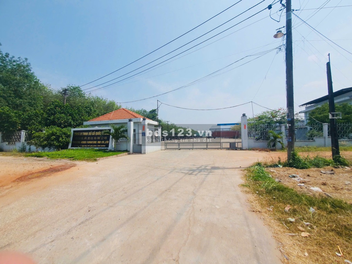 Cơ Hội Đầu Tư Bất Động Sản Tại Trừ Văn Thố, Bàu Bàng - Vị Trí Vàng, Lợi Nhuận Cao!