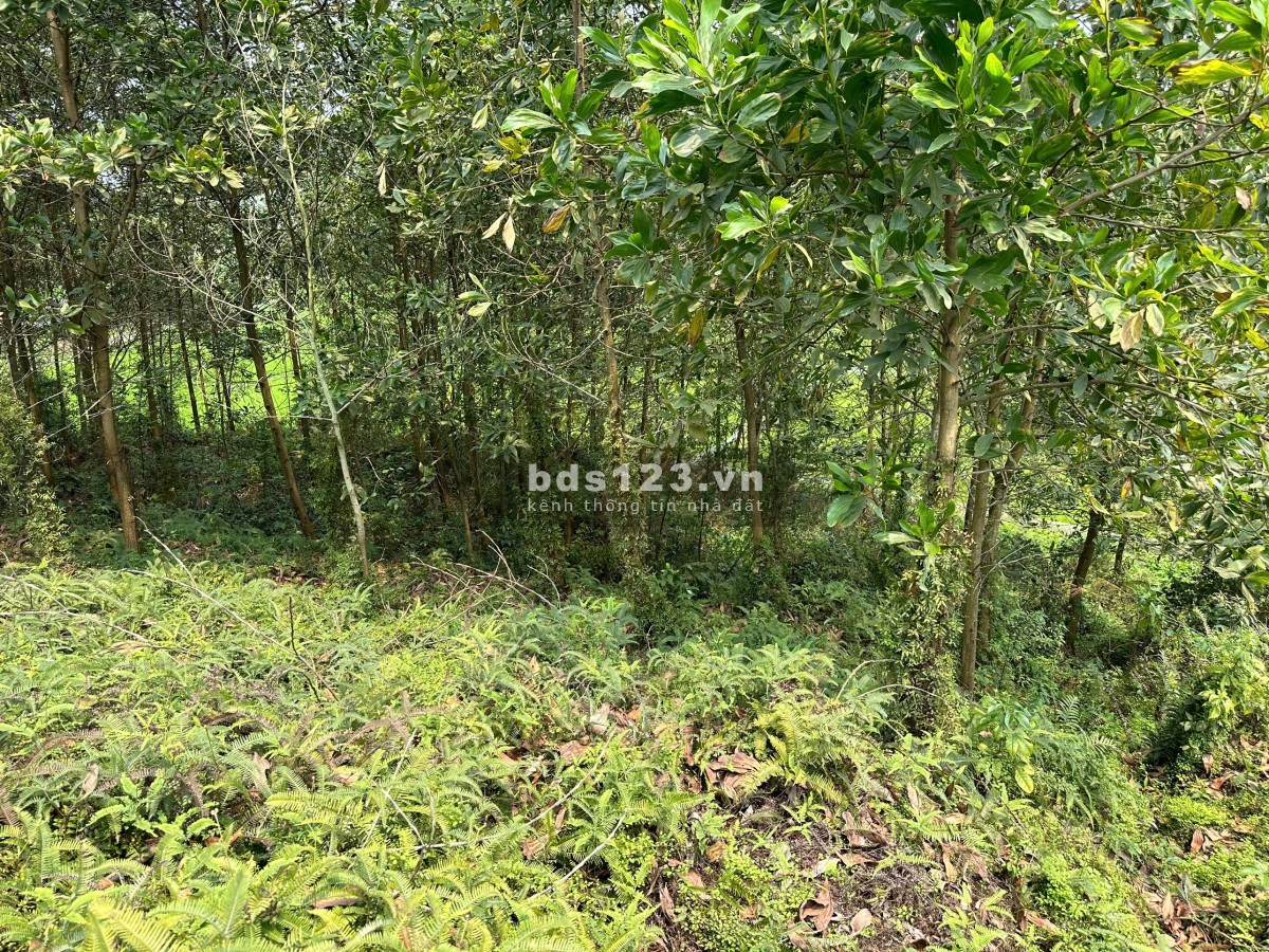 HOT: Bán đất BDS Phúc Xuân cực hot, 443.5m2 1ty350