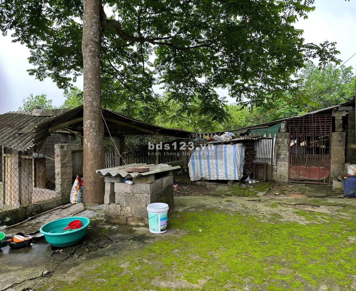 Chính chủ bán lô đất 9154m² tại Phúc Xuân, 1400m² thổ cư, có nhà – Giá tốt, thương lượng!