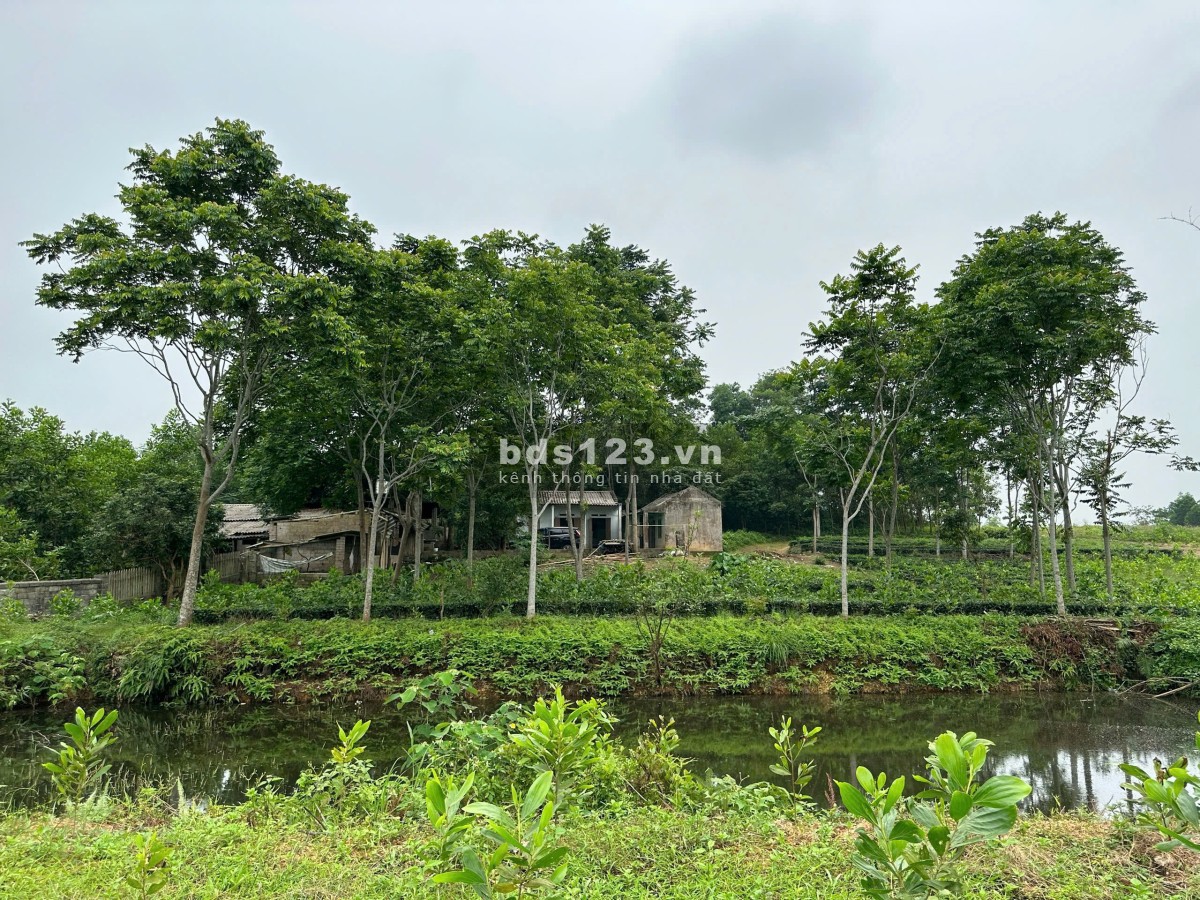 Chính chủ bán lô đất 9154m² tại Phúc Xuân, 1400m² thổ cư, có nhà – Giá tốt, thương lượng!