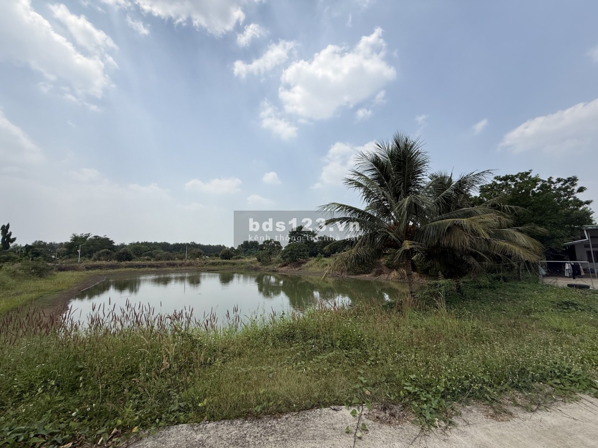 Kẹt Tiền Trả Nợ - Cần Bán Gấp Lô Đất Vườn 2100m2 Dầu Giây, Đồng Nai