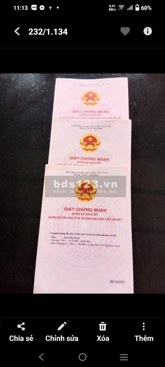 Vườn sầu riêng thái 260 cây được 6 năm