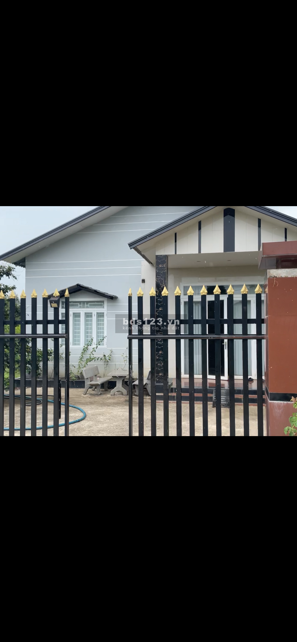 Vườn sầu riêng thái 260 cây được 6 năm