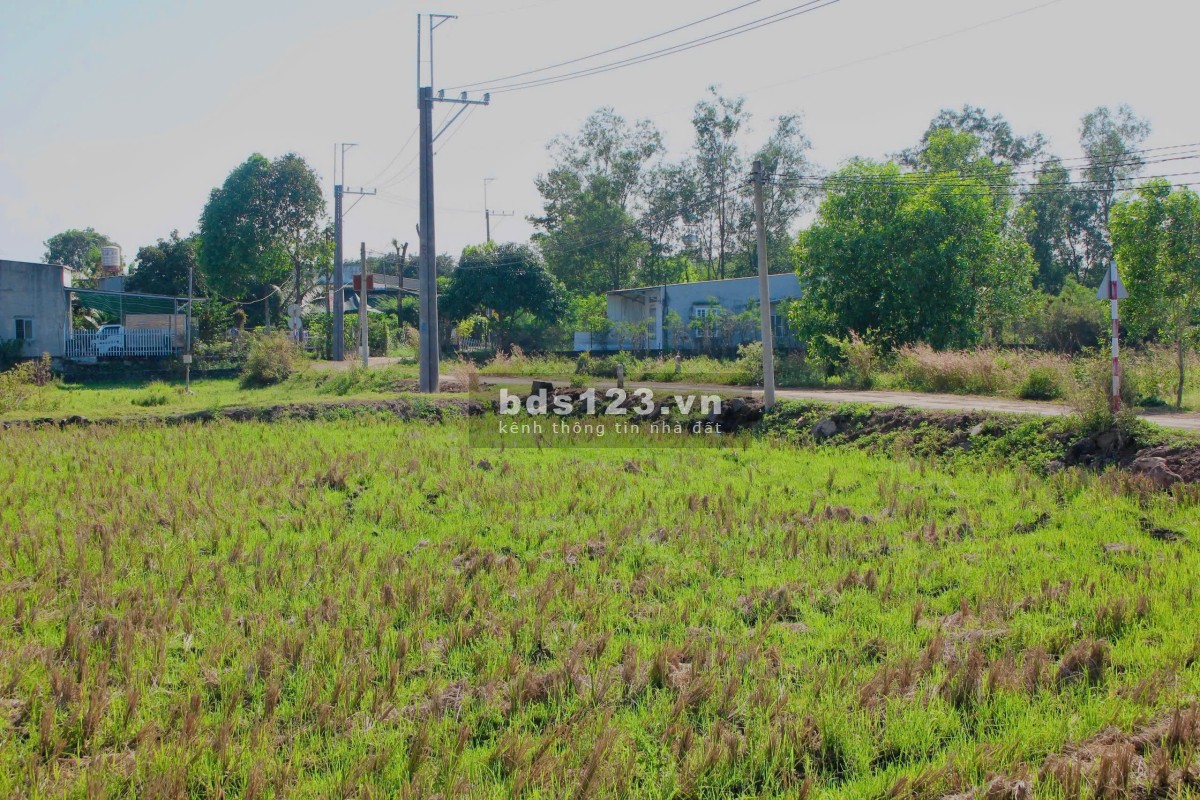 Đất thổ cư, mặt tiền đường lộ lớn, dân cư đông đúc tại Thống Nhất