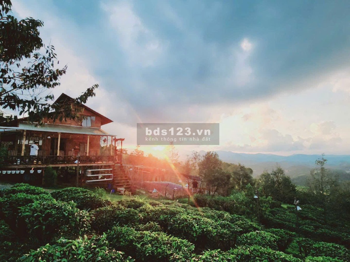 Bất động sản nghỉ dưỡng 1000M2 có suối tự nhiên vây quanh