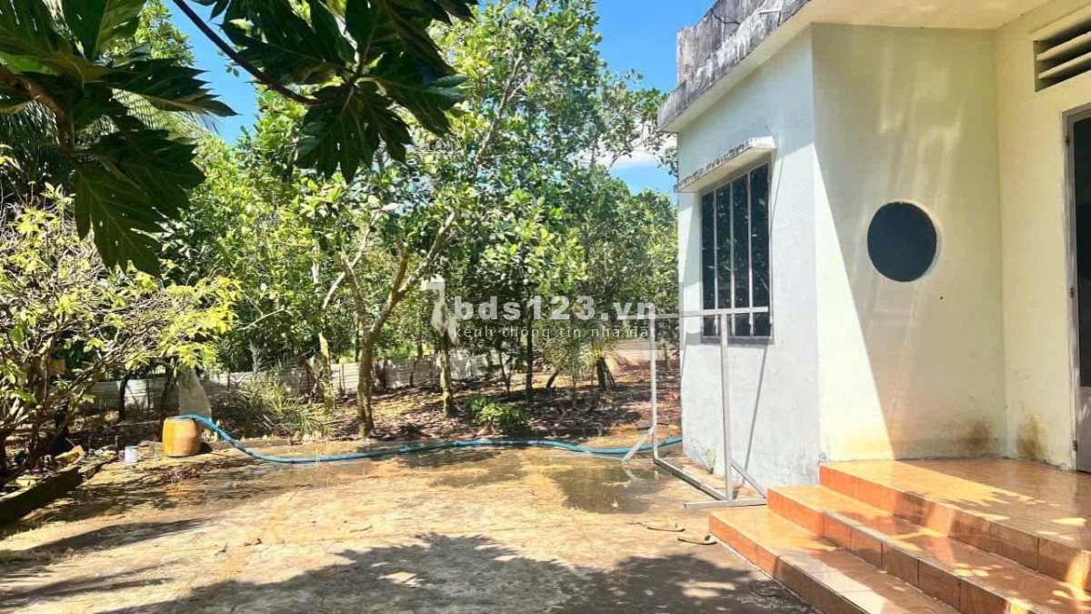 Kẹt Tiền Trả Nợ - Cần Bán Gấp Đất Vườn Trảng Bom 2000m2