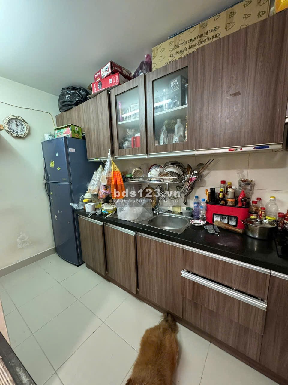 Chung cư 8X Thái An, Phan Huy Ích, GV: 68m2, 2p ngủ, 2wc, nội thất 7tr/th