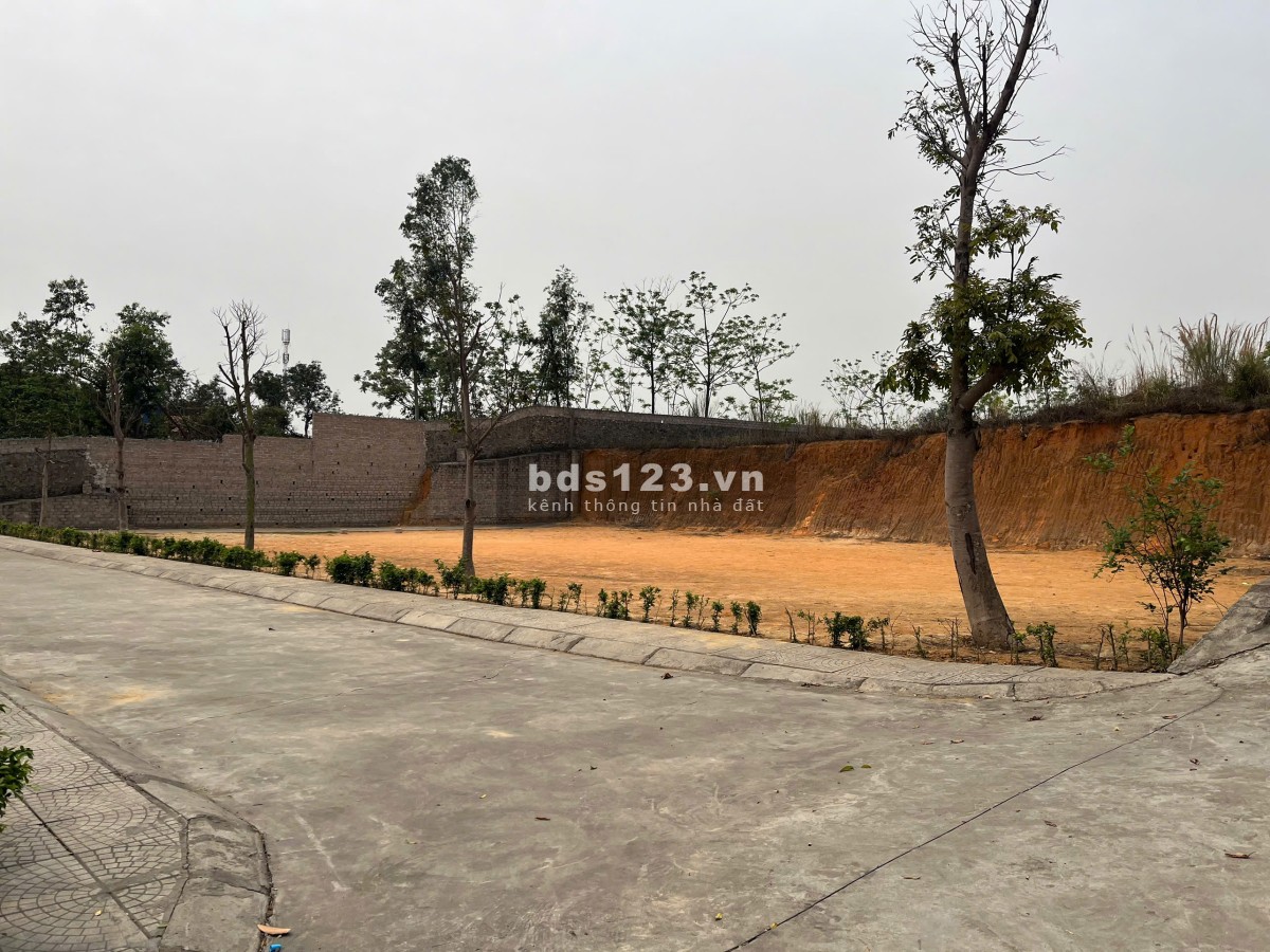  Cơ hội đầu tư siêu phẩm đất nền tại Tp. Đông Triều chỉ với 680 triệu