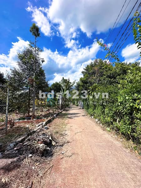 Siêu phẩm đất nền thổ cư tại Gia Tân 2 Giá chỉ 650 triệu, pháp lý minh bạch, hỗ trợ vay ngân hàng!