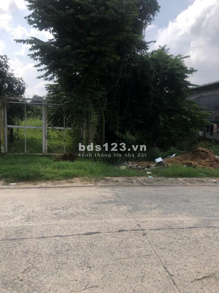 Giá chính xác 650 triệu – Bán gấp lô đất đẹp ngay BV Xuyên Á, sổ hồng riêng, đường ô tô