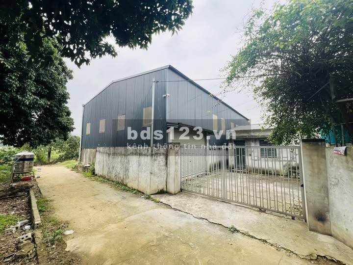Đất liền nhau full thổ cư, mỗi lô hơn 208.3m, đối diện UBND xã Phú Mãn