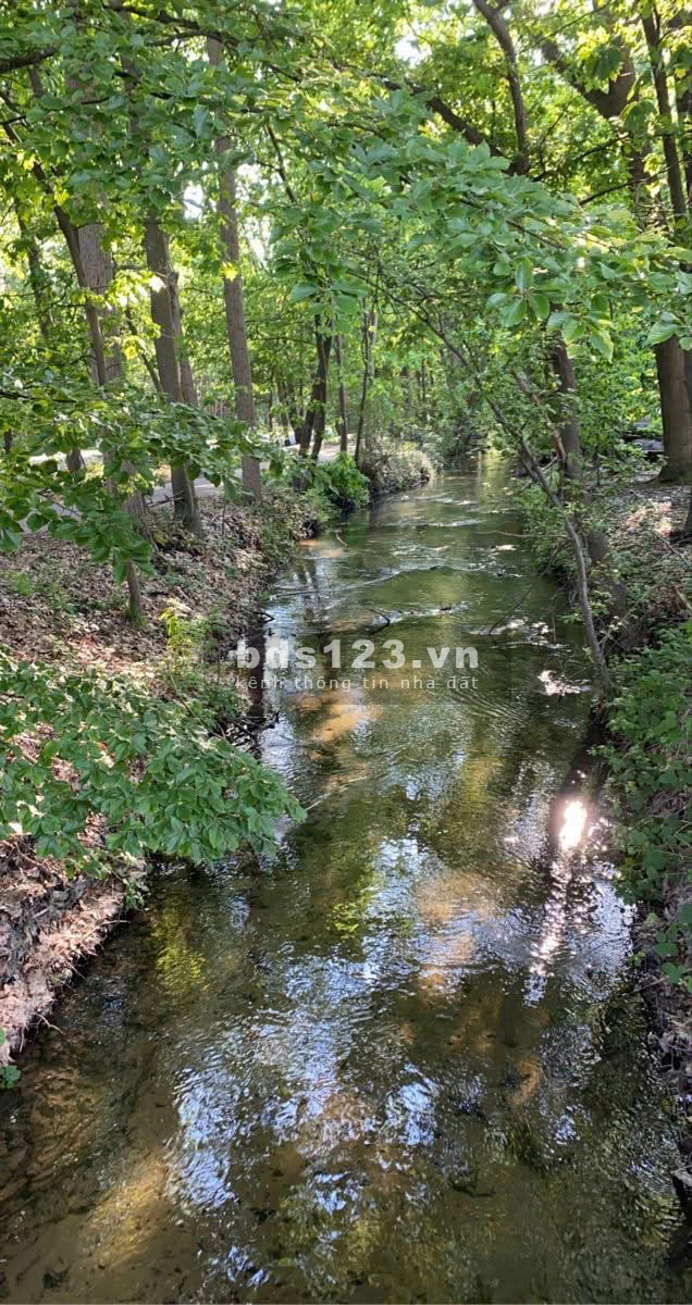 Cô Chú Lớn Tuổi - Cần Bán Gấp Mảnh Đất Vườn Long Khánh 1500m2