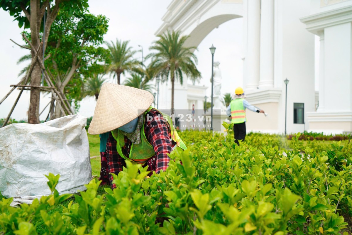 Đất nền giá tốt tại dự án Agora City - Khu đô thị trung tâm hành chính thương mại thủ thừa