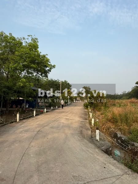 Đầu Tư Đất Vườn Tại Thống Nhất - Dầu Giây Chỉ 850 Triệu/Sào, Sổ Sẵn Pháp Lý Minh Bạch