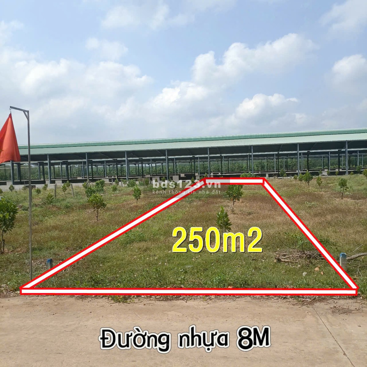 Cần bán đất DT741 Phú Giáo Bình Dương giá 300tr