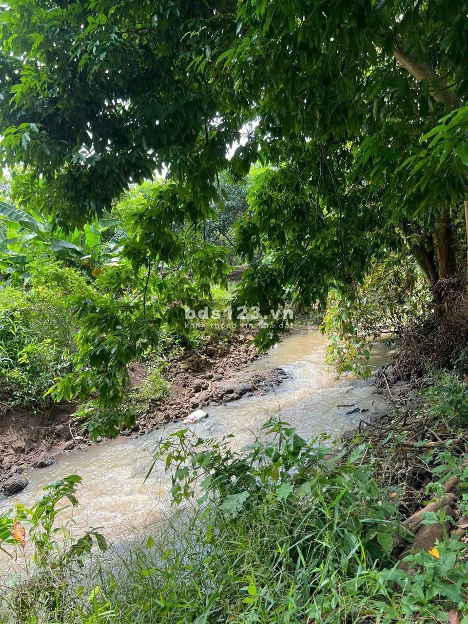 Cô Chú Lớn Tuổi - Cần Bán Gấp Mảnh Đất Vườn 1500m2 Ngay Ngã Tư Dầu Giây, Đồng Nai
