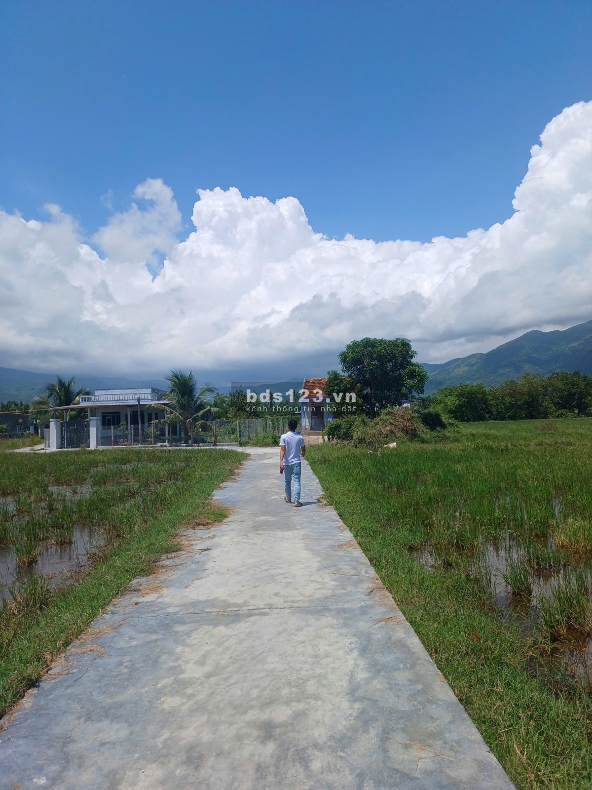 Cơ Hội Sở Hữu Lô Đất View Biển – 2 Mặt Tiền Đẹp Tại Khu Kinh Tế Vân Phong