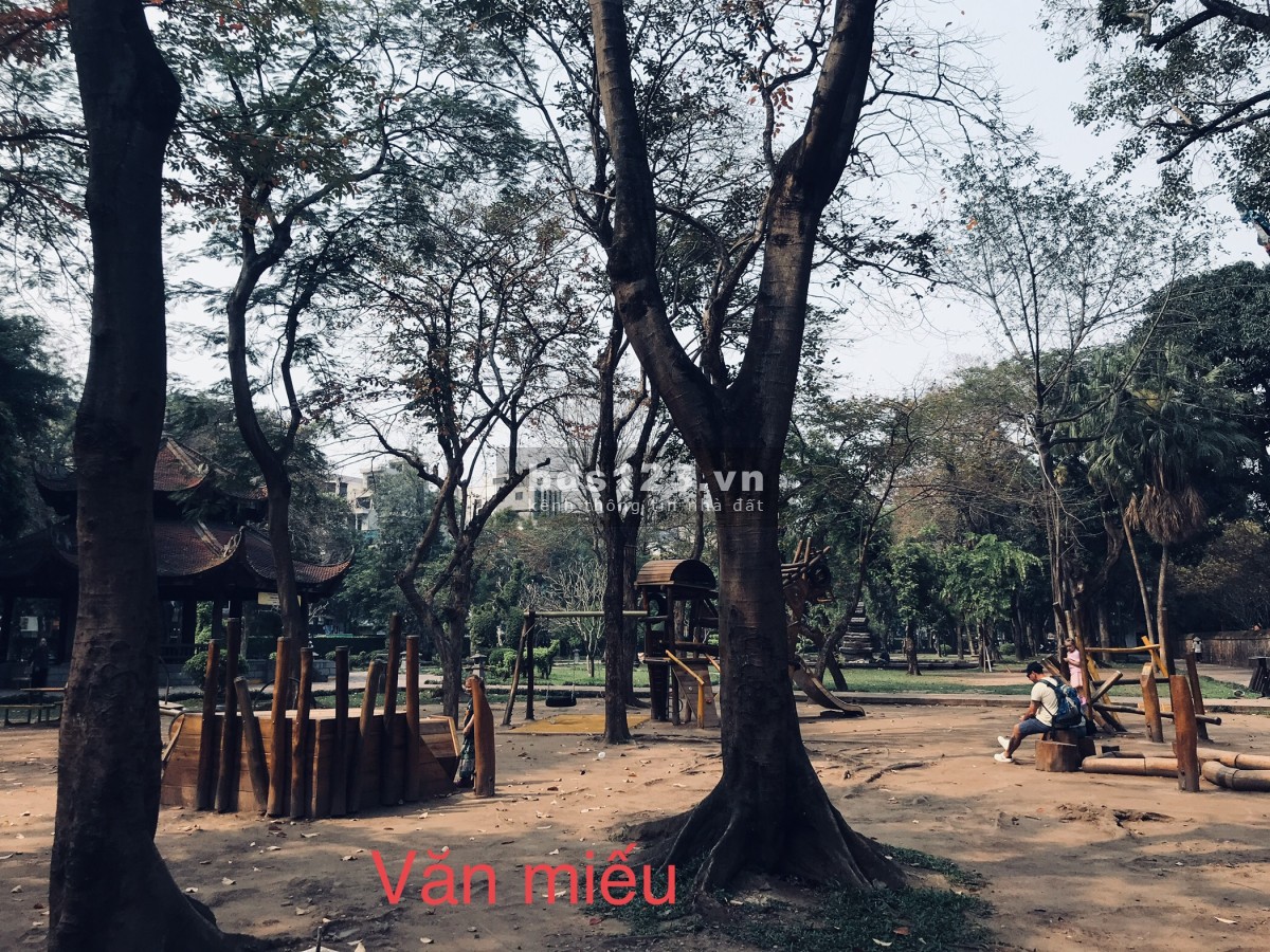 Cấn bán nhà 6 tầng 8 ngủ có dòng tiền. Giá 5,6 tỉ đường Trần Quý Cáp Đống đa Hà nội