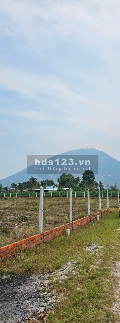 Ngộp gấp lô đất 1500m2 cách DT781 đúng 200m ngay khu trung tâm thị trấn DMC (60x28) sẵn thổ cư SHR