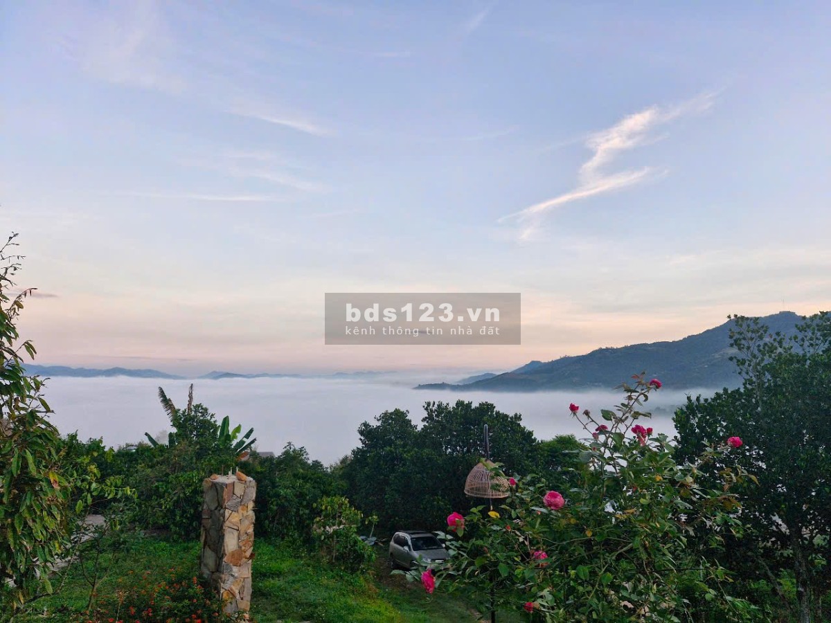 Sở hữu ngay lô đất Bảo Lộc 1000m2: Suối tự nhiên, view săn mây - Không gian nghỉ dưỡng lý tưởng!