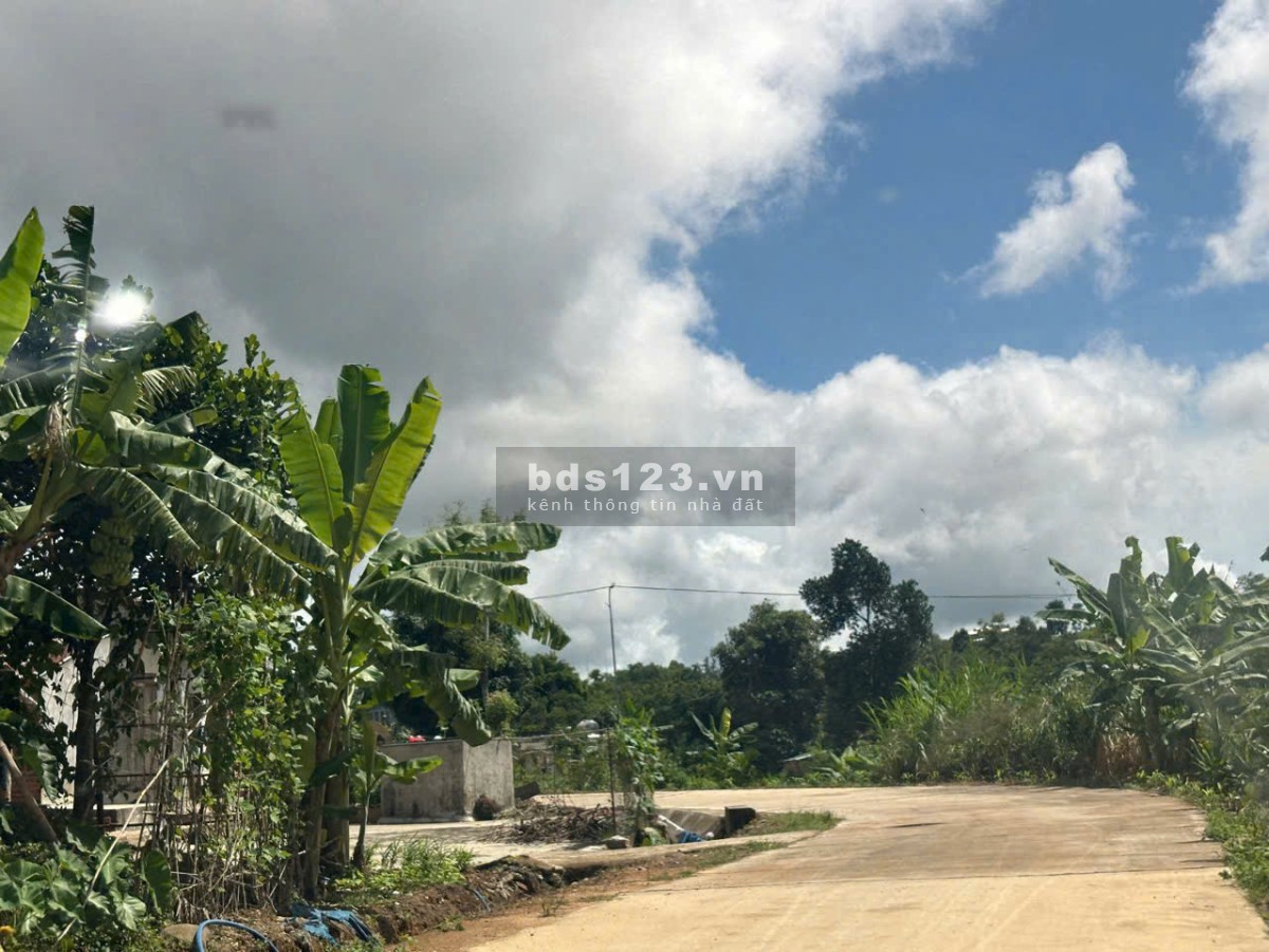 Cần Vốn Làm Ăn - Cần Bán Gấp Lô Đất Vườn 1300m2 tại TP Long Khánh