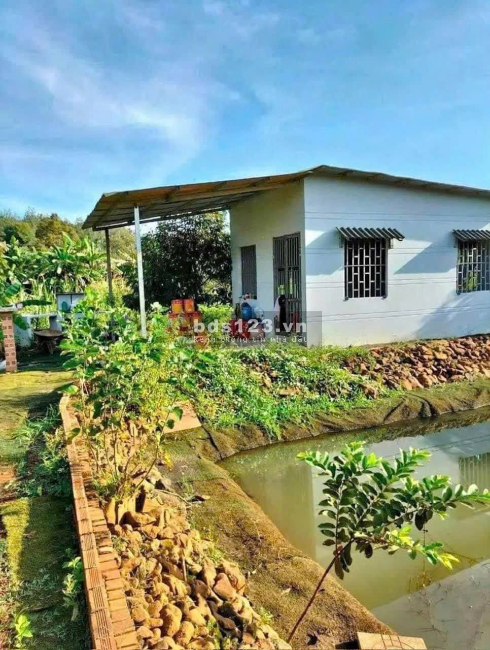 Cần Vốn Làm Ăn - Cần Bán Gấp Lô Đất Vườn 1300m2 tại TP Long Khánh