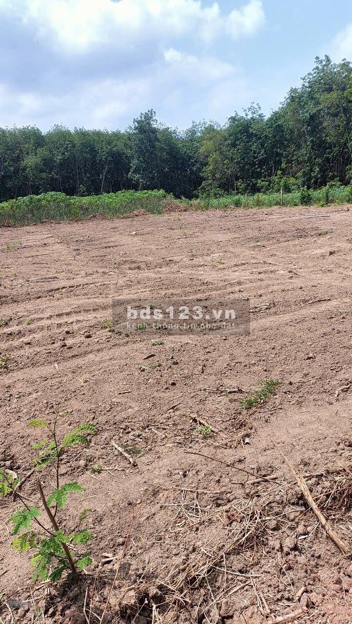 Tìm Người Mua Đất Tôi Bán 579 triệu, diện tích 250m2 Thổ Cư, Sổ hồng riêng