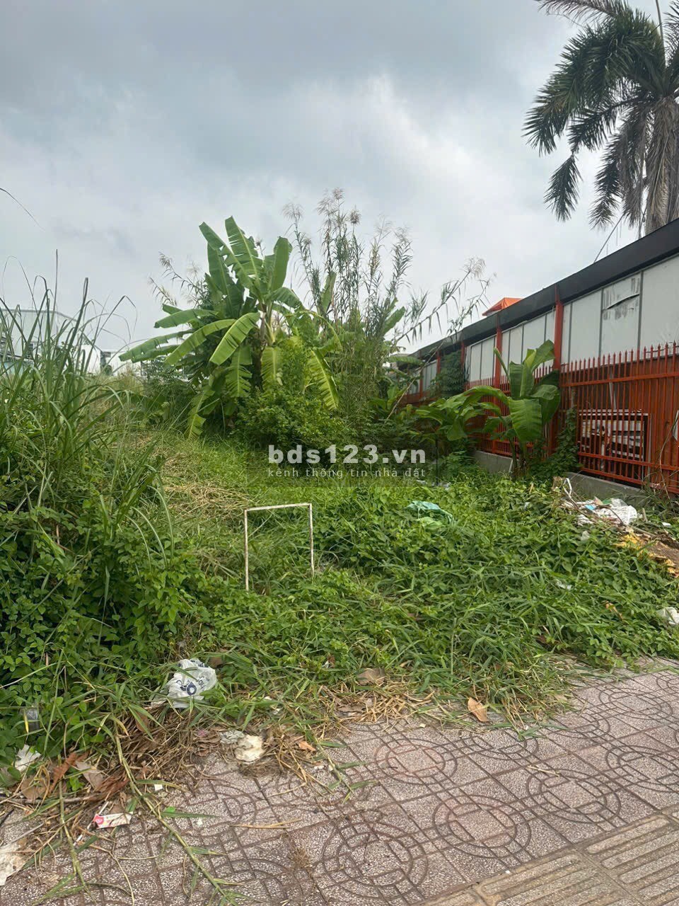 Bán đất thổ cư mặt tiền đường Mậu Thân 2, phường 3, TP Vĩnh Long, giá 8,9 tỷ