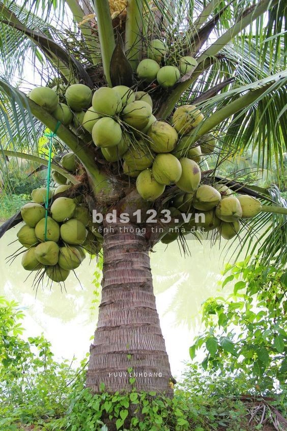 Chỉ 1 tỷ 8 - Sở hữu ngay lô đất mặt tiền đường nhựa, gần sân bay Long Thành