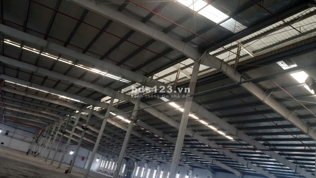 Cho thuê kho xưởng 4200m2 - 8000m2 KCN Hải Sơn, Đức Hoà Hạ, Đức Hoà, Long An