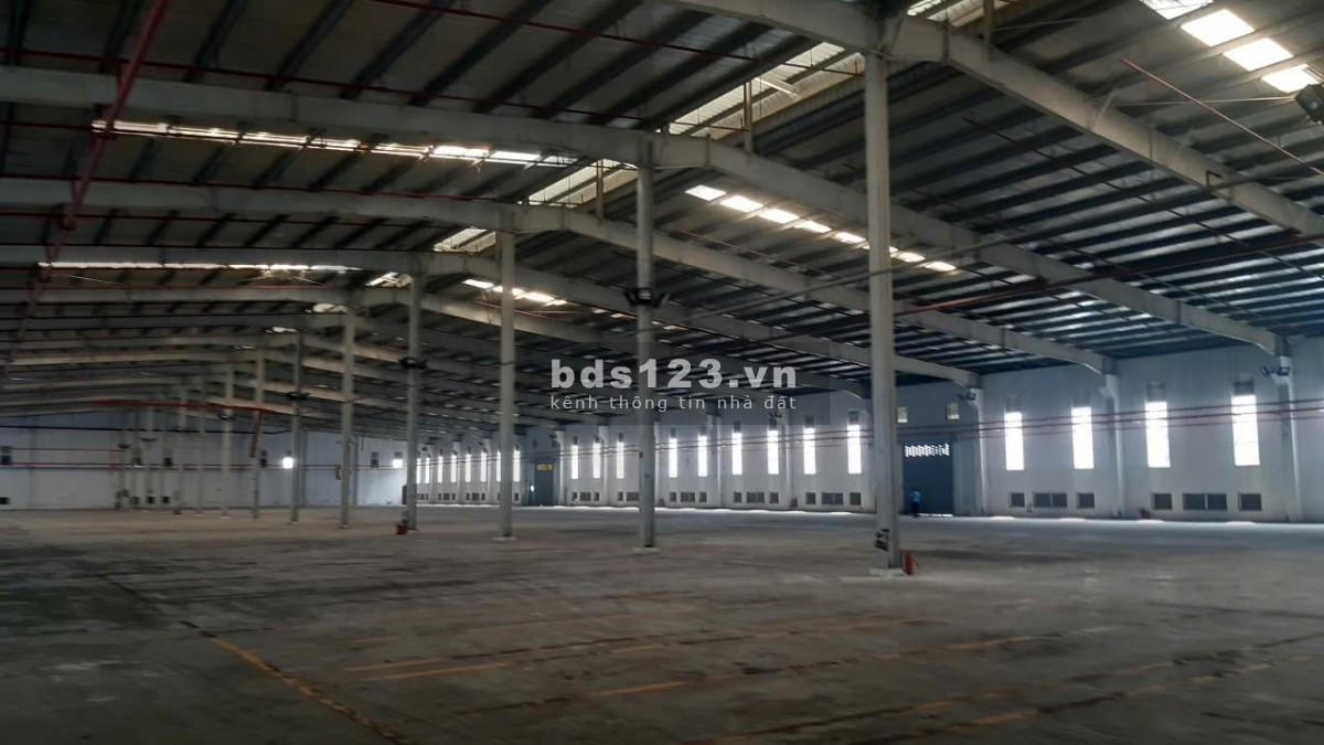 Cho thuê kho xưởng 4200m2 - 8000m2 KCN Hải Sơn, Đức Hoà Hạ, Đức Hoà, Long An