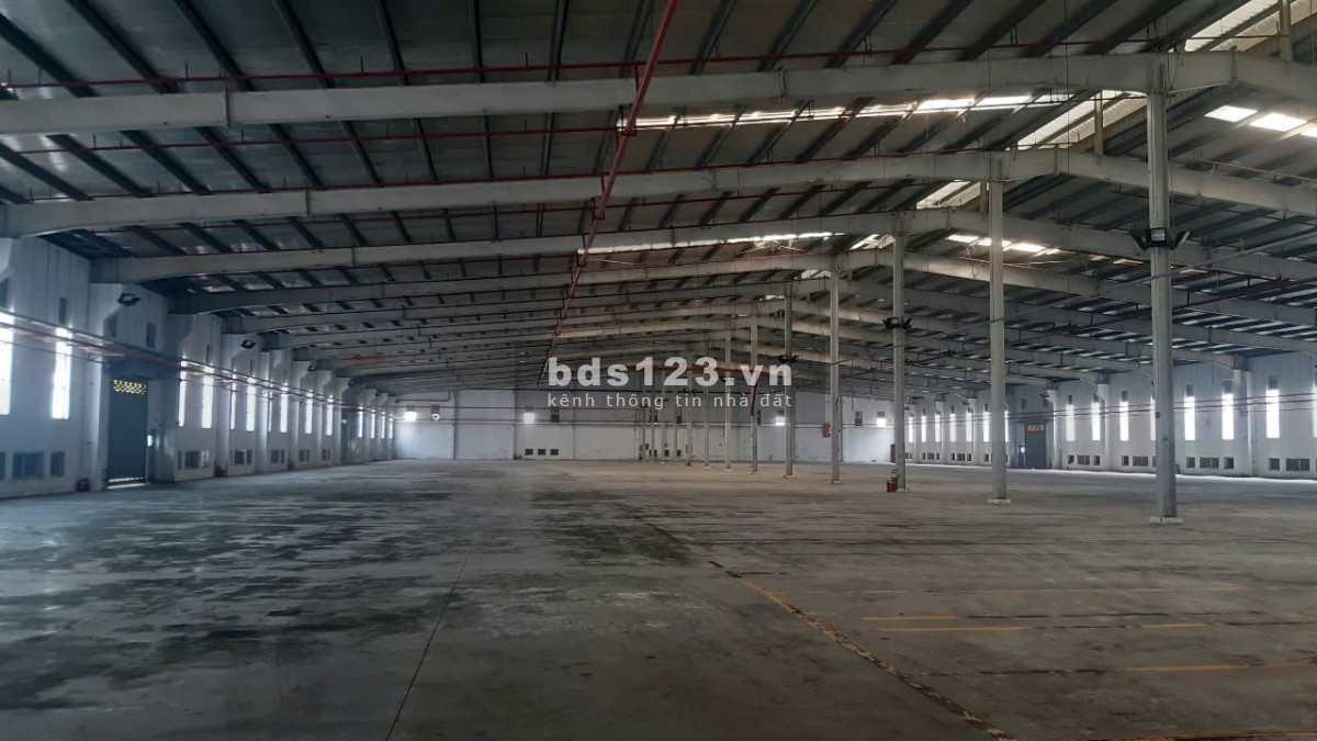 Cho thuê kho xưởng 4200m2 - 8000m2 KCN Hải Sơn, Đức Hoà Hạ, Đức Hoà, Long An