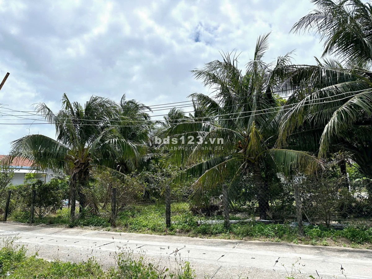 Cơ Hội Đầu Tư Sinh Lời – Bán Đất KDC Ninh Mã, Cạnh KĐT Lấn Biển SunGroup 2.500ha