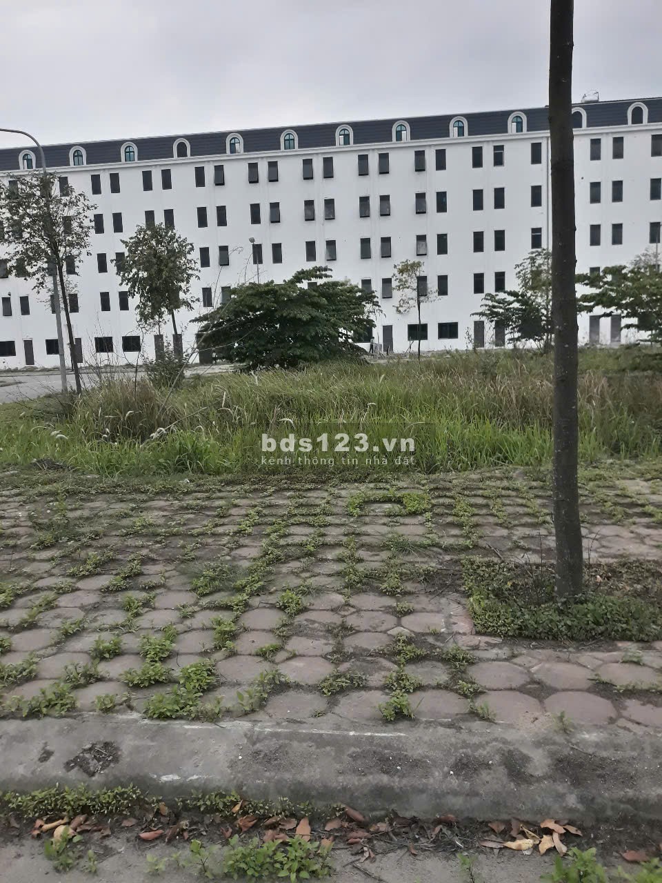 Chính chủ bán đất tại dự án 4,6ha thị trấn Lim, đã có bìa hồng.