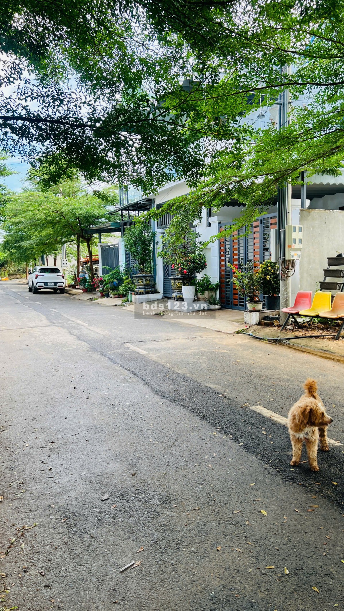 Đưa trước chỉ 700 triệu – Sang tên ngay. Tặng nội thất trị giá 100 triệu – Ngay khu du lịch Bửu Long