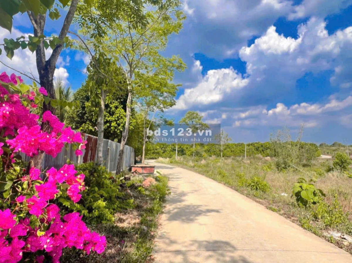 Kẹt Vốn Kinh Doanh - Cần Bán Gấp Lô Đất Vườn Long Khánh 1500m2, Giá Ngộp