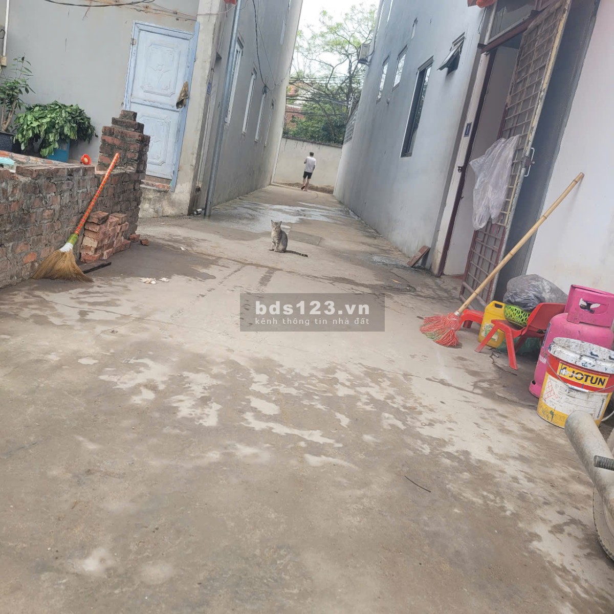 Hàng Hiếm Thôn Yên Hà, Hải Bối, Đông Anh, 55m2, chỉ hơn 4 tỷ