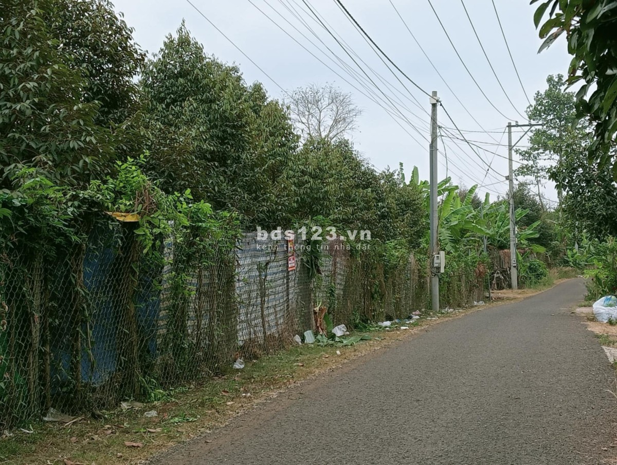 Bán đất nền mặt tiền đường nhựa khu dân cư gần chợ gần trường Tân Phong, Long Khánh. Sổ riêng 100%