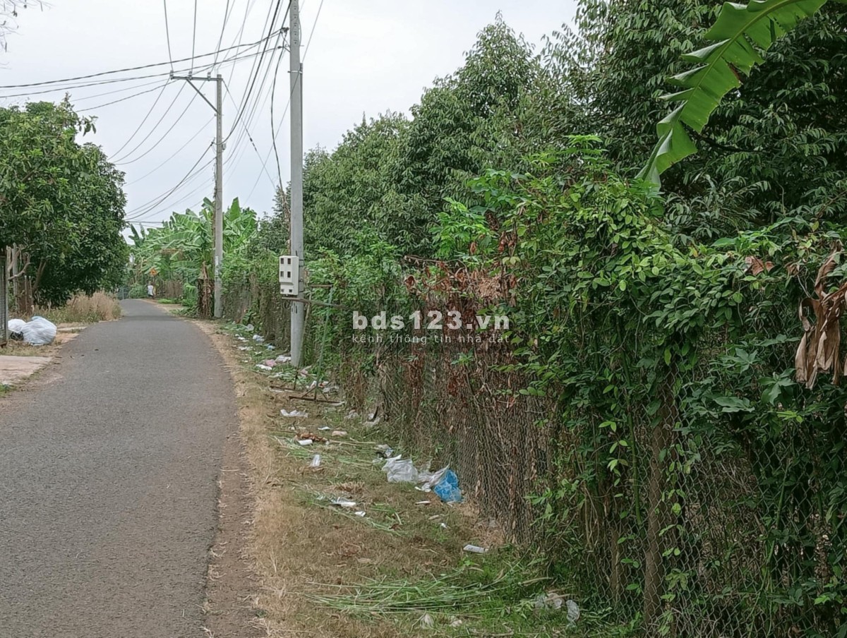 Bán đất nền mặt tiền đường nhựa khu dân cư gần chợ gần trường Tân Phong, Long Khánh. Sổ riêng 100%