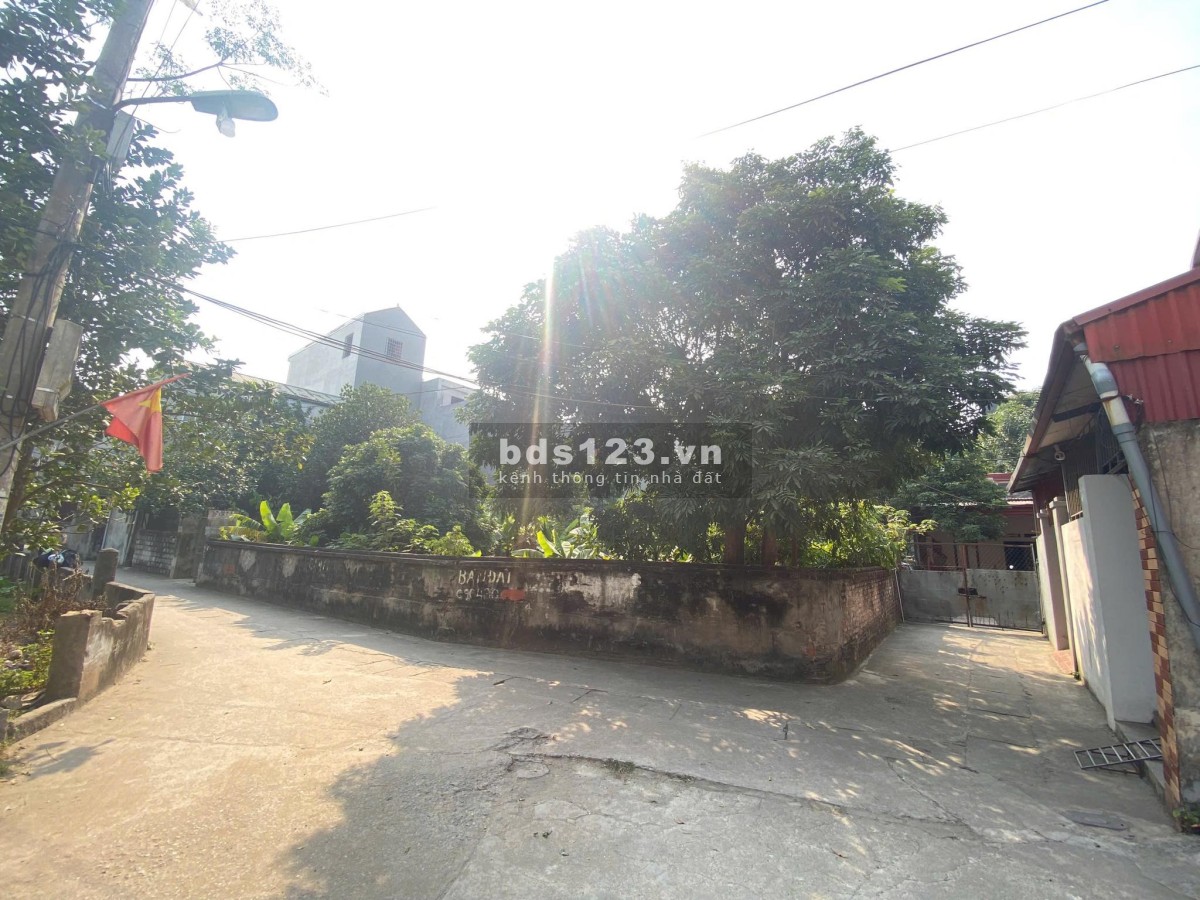 Cần bán gấp mảnh đất vàng Vạn Phúc – Thanh Trì, trong đê 550m MT 20m ngõ thông ô tô 31 tỷ