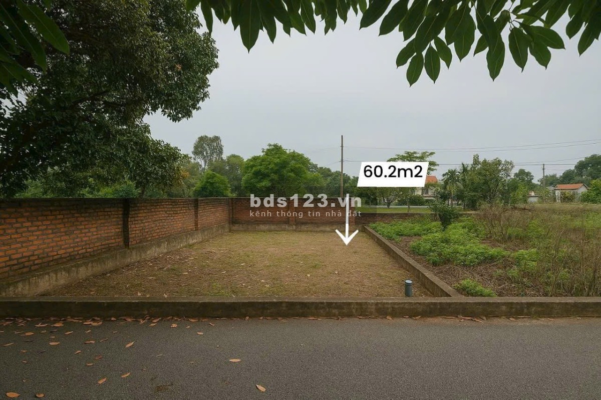 ️Cầm hơn 1 tỷ vẫn muốn mua đất đầu tư thì đây ạ.Cổ Đông - Sơn Tây