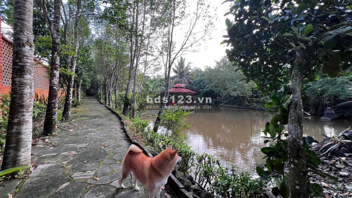 Bán đất có nhà vườn 2700m2 tại Phú Ngọc, Định Quán. Sổ hồng riêng,đường xe hơi, thổ cư. Chỉ 3.65 tỷ.