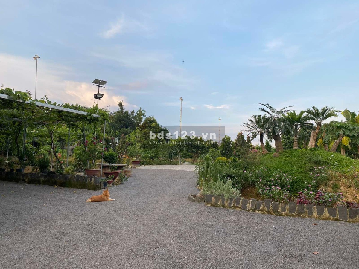 Bán đất có nhà vườn 2700m2 tại Phú Ngọc, Định Quán. Sổ hồng riêng,đường xe hơi, thổ cư. Chỉ 3.65 tỷ.