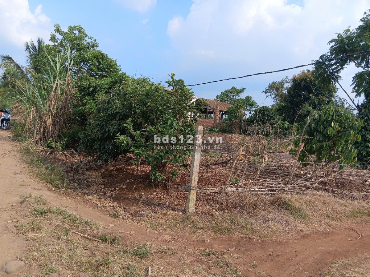 Cơ hội đầu tư vàng, giá siêu ngộp – Quốc lộ 29, xã Ea Dah, Krông Năng, Đắk Lắk