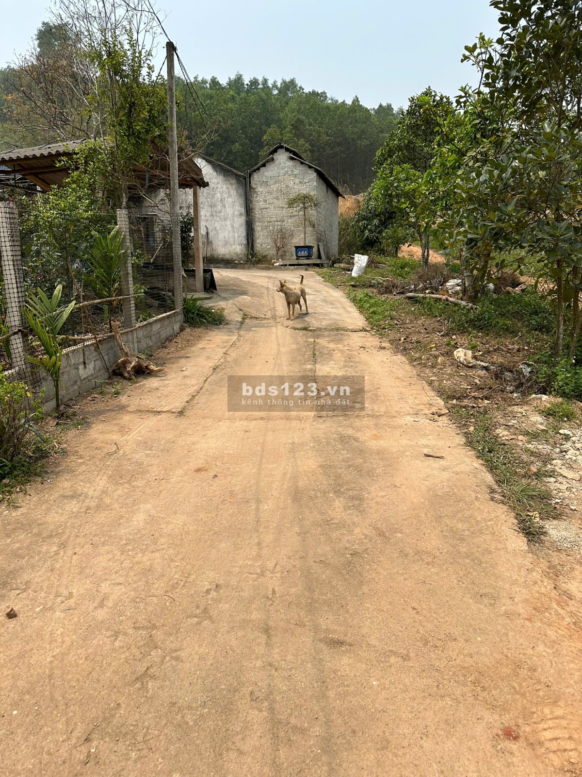 Chính chủ đất tỉnh Thái Nguyên. Diện tích : 400m2. Giá 1,350 tỏi. Zá Lồ: 0369557567