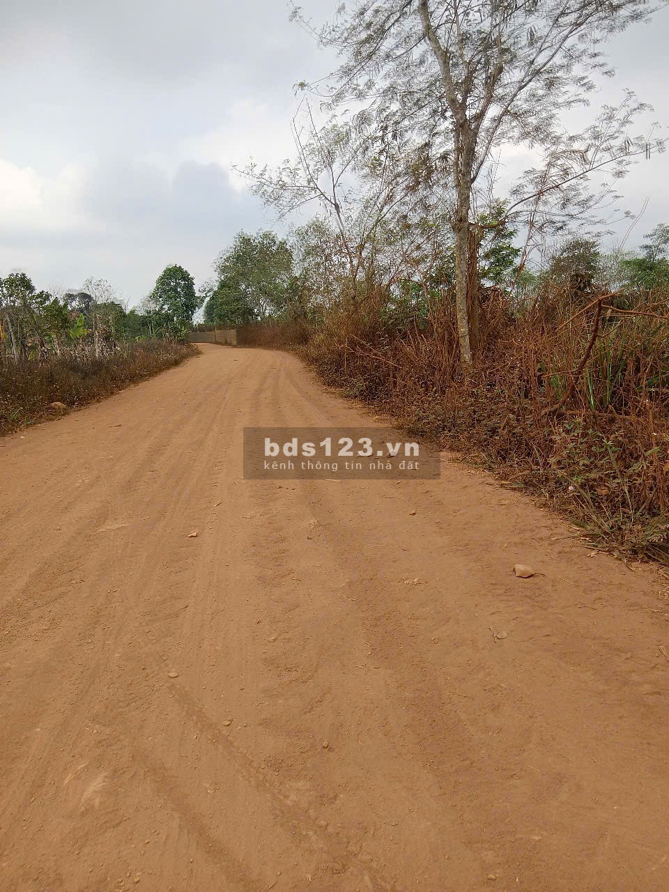 Chú Tư gửi bán lô đất chính chủ, chưa qua đầu tư. Xã Ea Drông, thị xã Buôn Hồ, Đắk Lắk